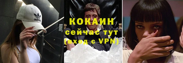 крисы Горняк