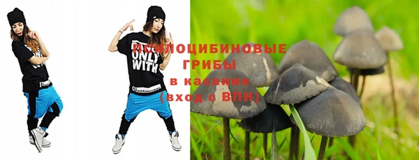 круглые Алзамай
