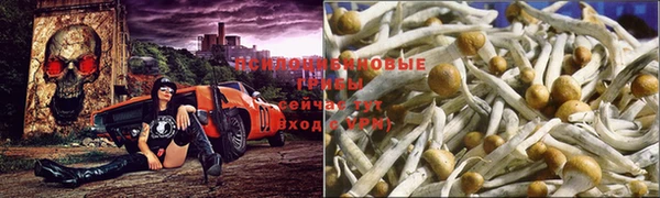 круглые Алзамай