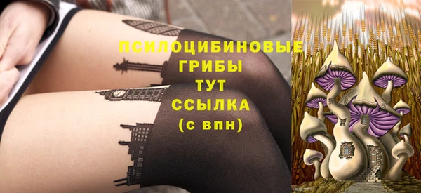 круглые Алзамай