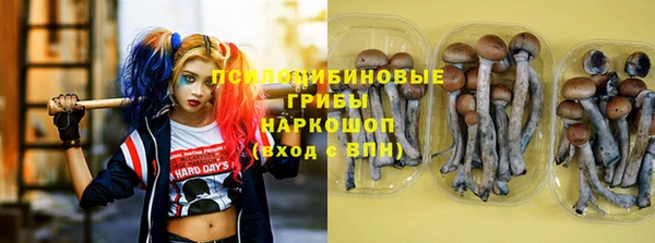 круглые Алзамай